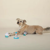 Fringe Bark-Day Plush Dog Toy 3pk