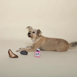 Fringe Paw-Shionista 3pc Toy