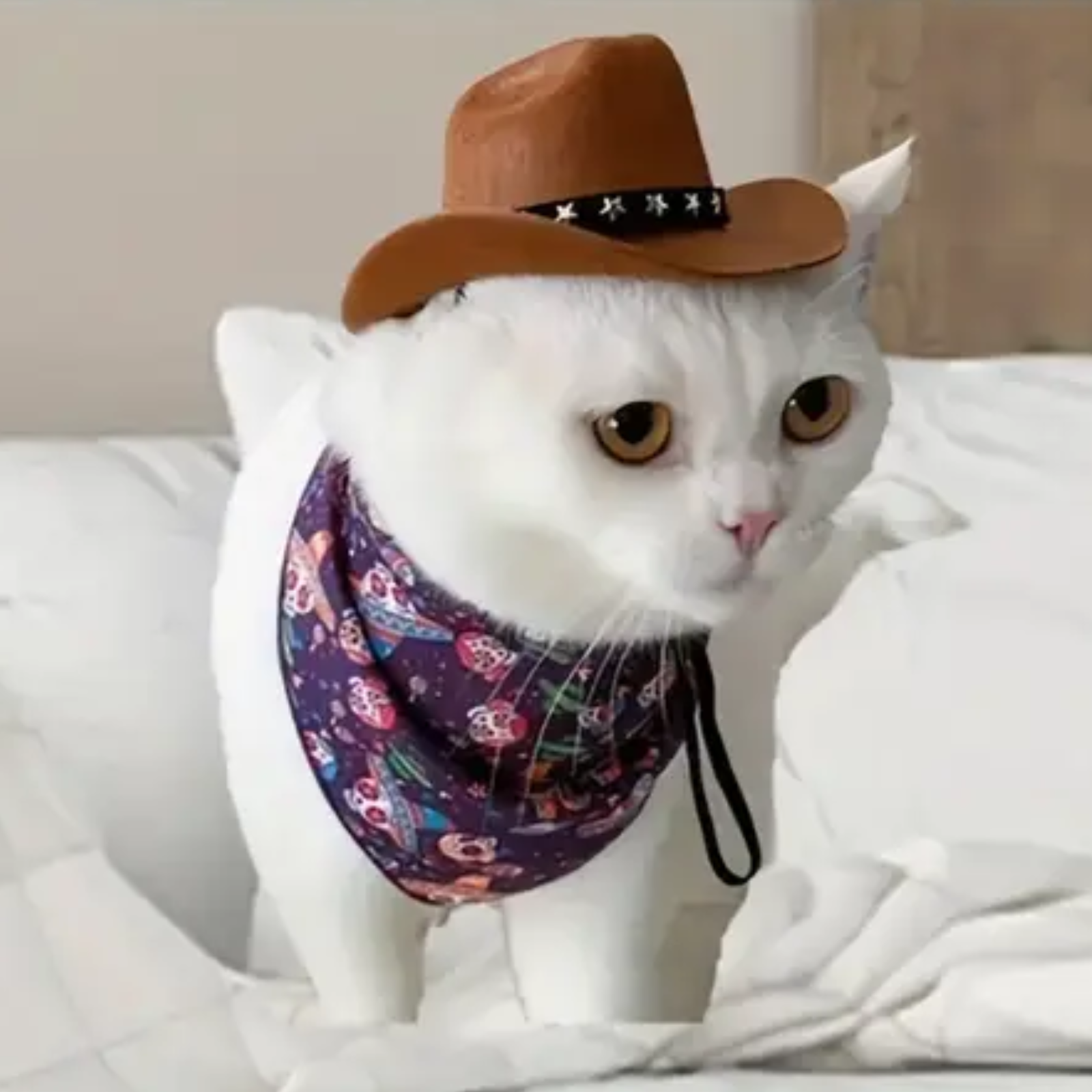 White cat wearing a brown cowboy hat and colorful bandana on a white blanket.