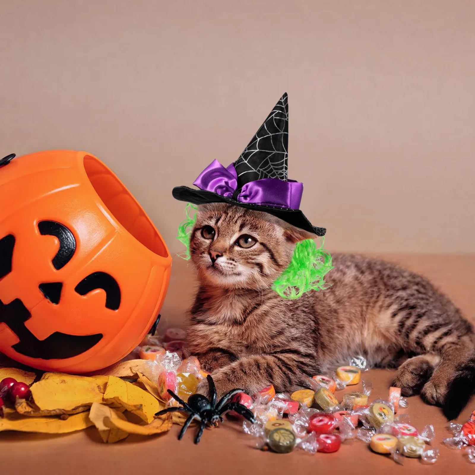 Cat wearing a Halloween witch hat with a pumpkin and candy on a beige background