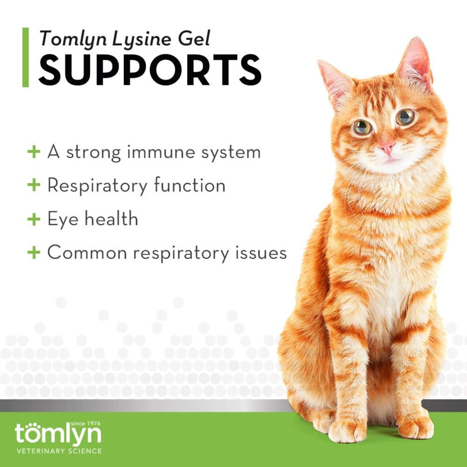Tomlyn Lysine Gel advertisement with an orange cat on a white background