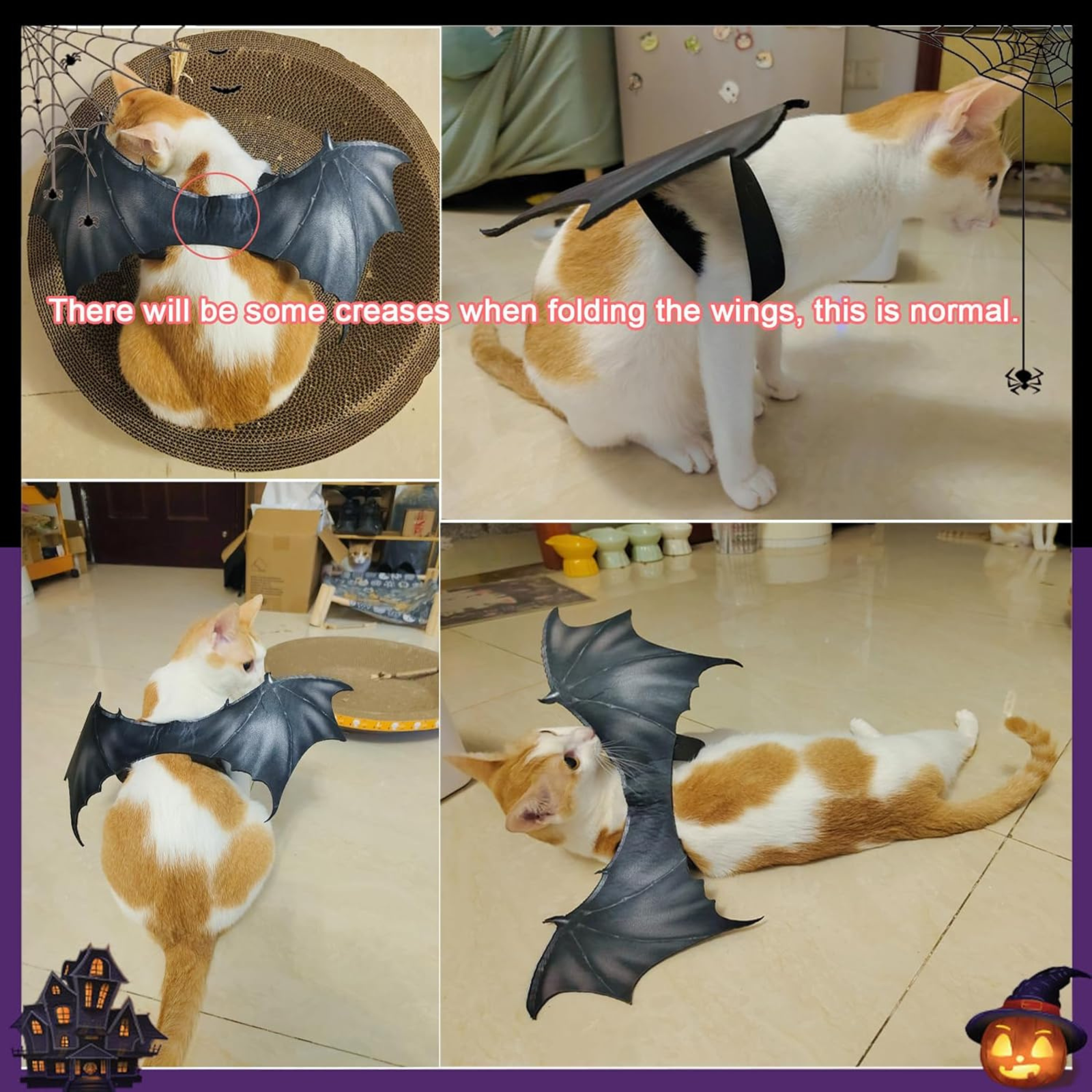 Cat wearing a bat costume with text indicating normal creases.
