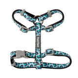 FuzzYard Wild One Aqua Cat Walking Set