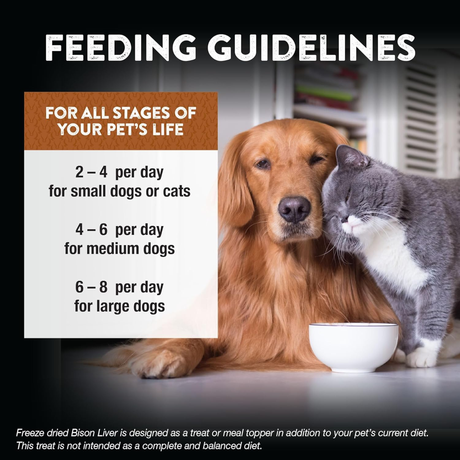 Feeding guidelines for pets with a dog and cat sitting next to a bowl.