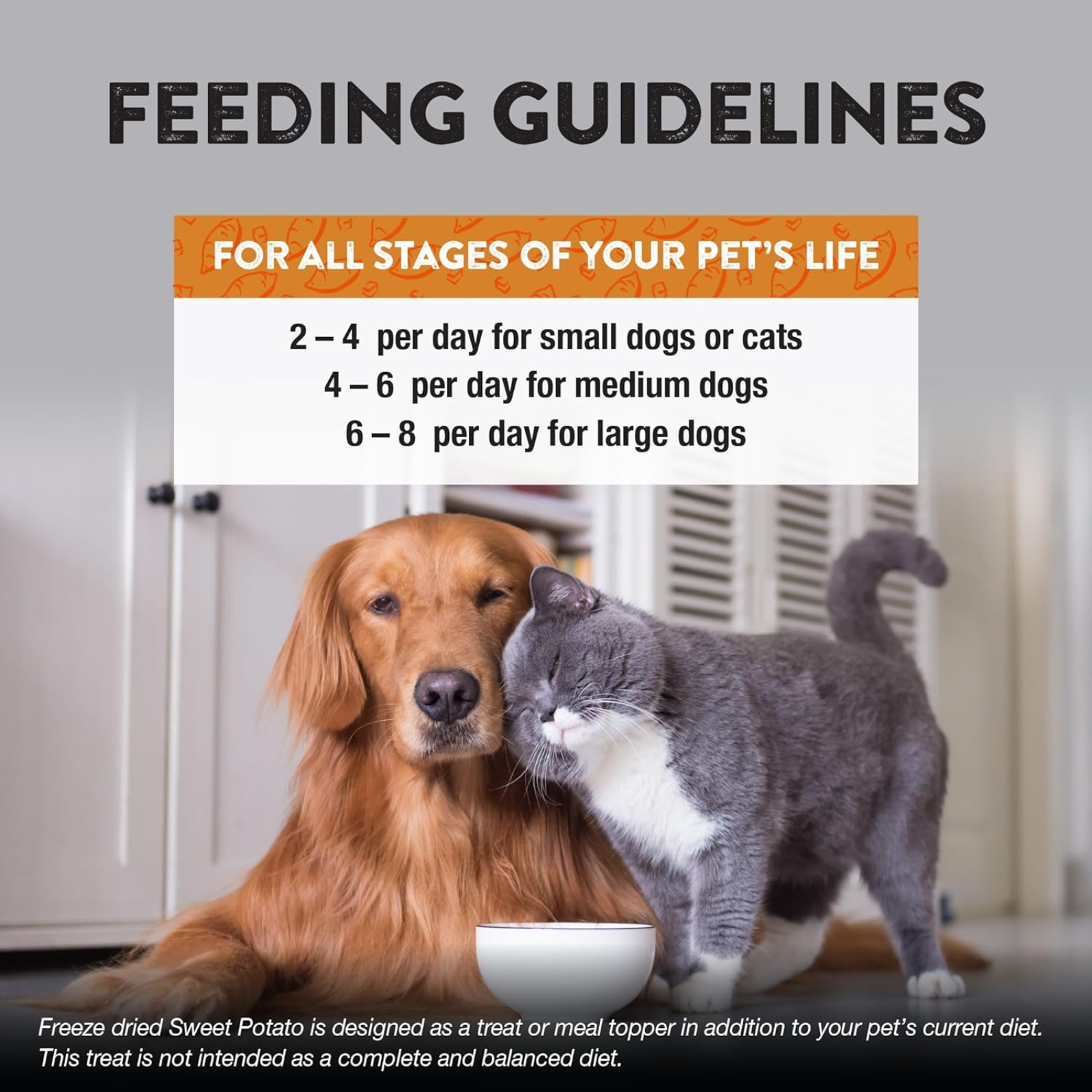 Feeding guidelines for pets with a dog and cat sitting next to a bowl.