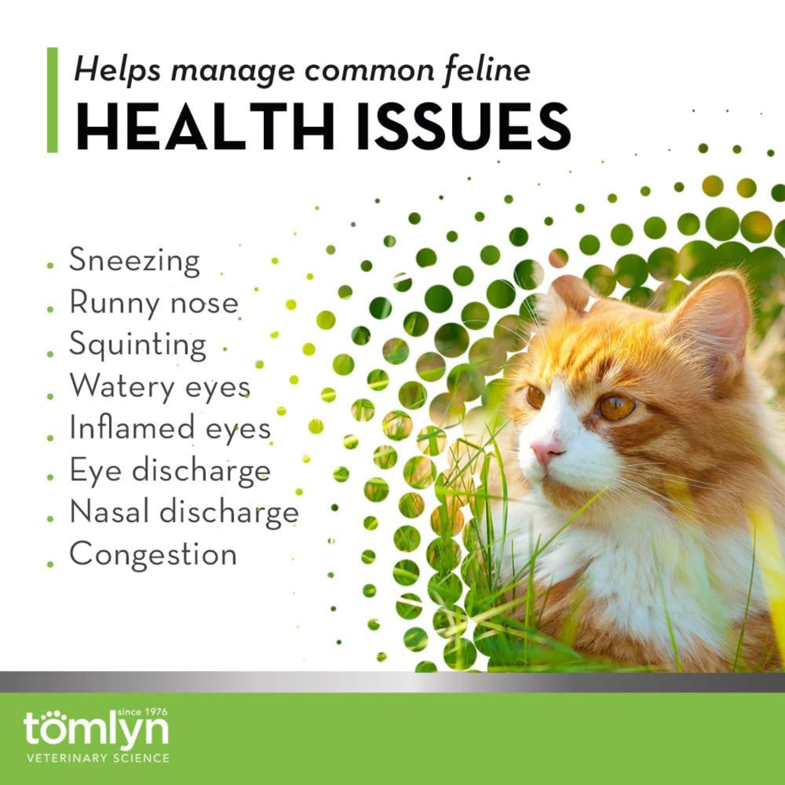 Cat with health issues text and Tomlyn logo