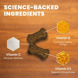 VetriScience MultiVitamin Dog 30ct