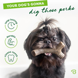 Dog holding a bone-shaped chew toy with text about dog benefits on a white background