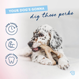 Dog chewing on a bone with text and icons about dog products on a light gray background