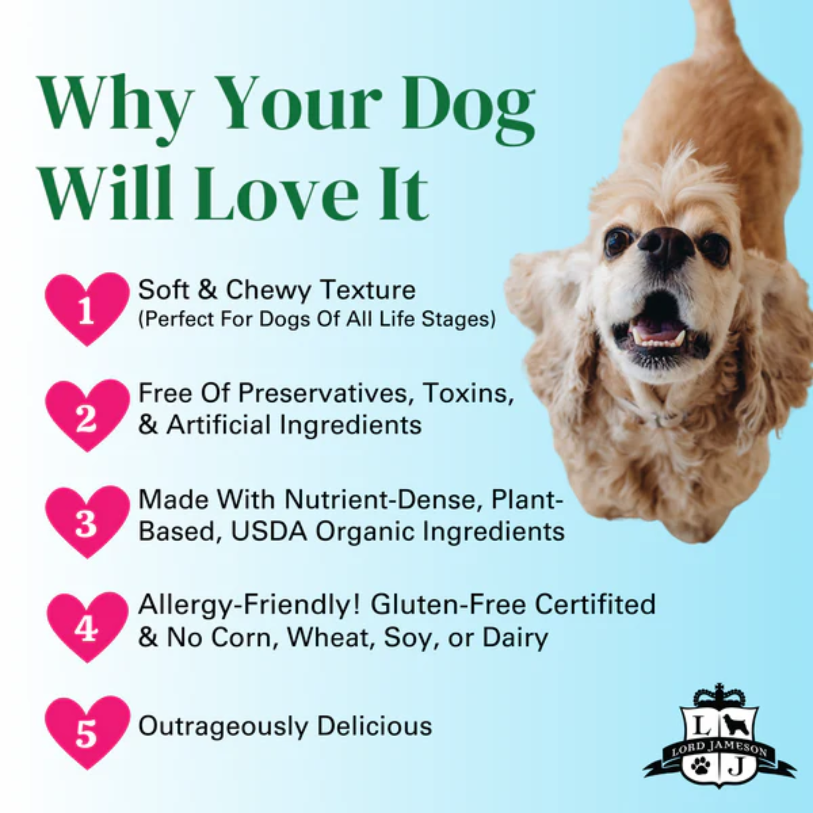 Dog food product advertisement with a dog on a light blue background