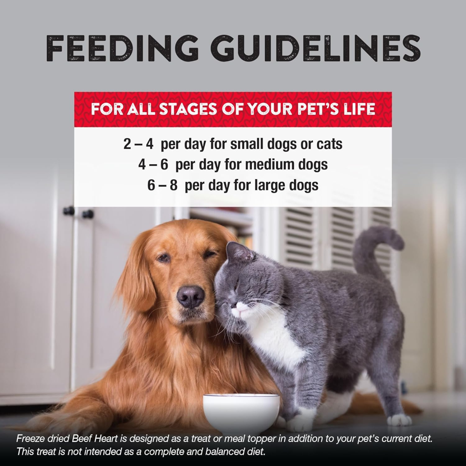 Feeding guidelines for pets with a dog and cat sitting next to a bowl in a kitchen.