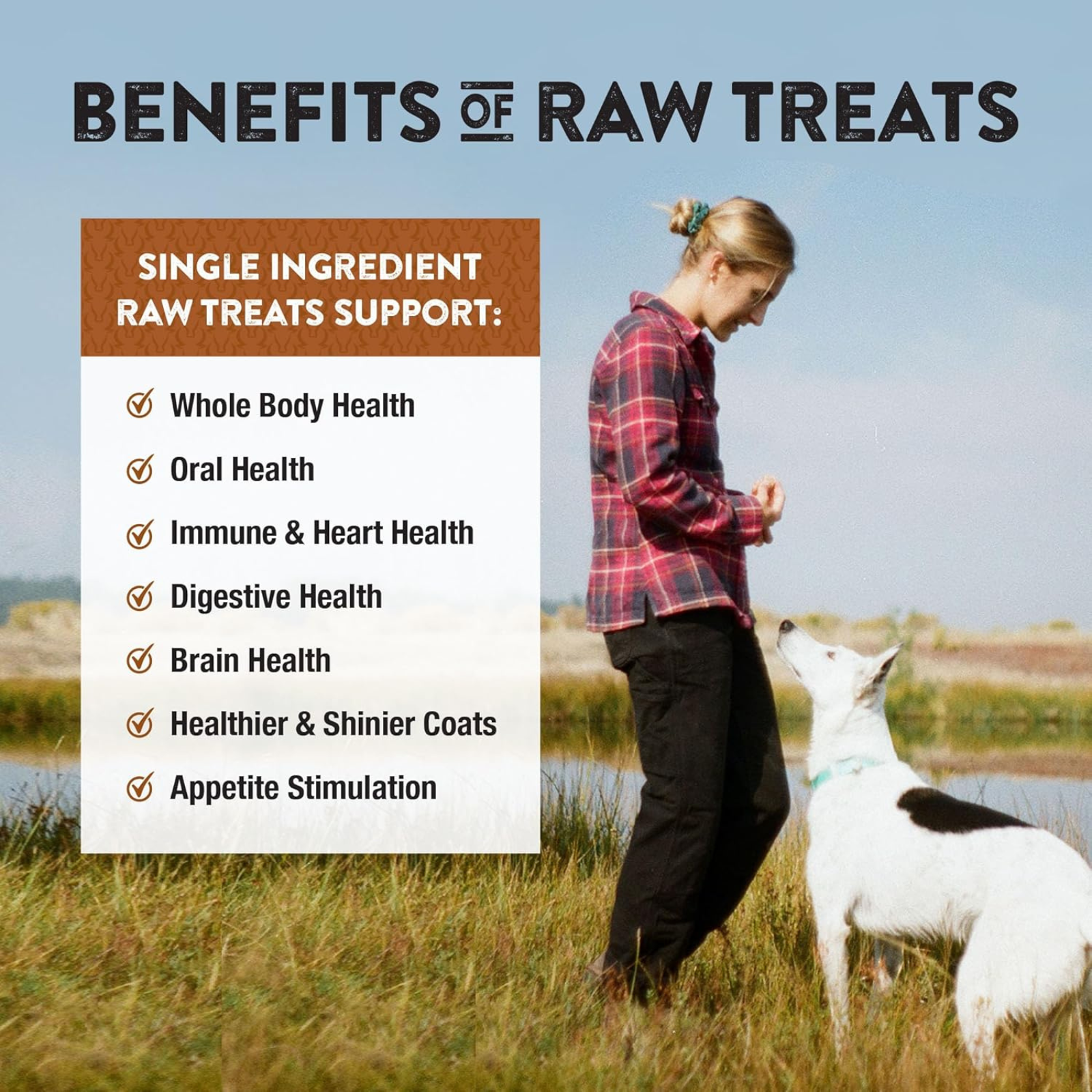 Woman feeding a dog raw treat with text about the benefits of raw treats in a field.