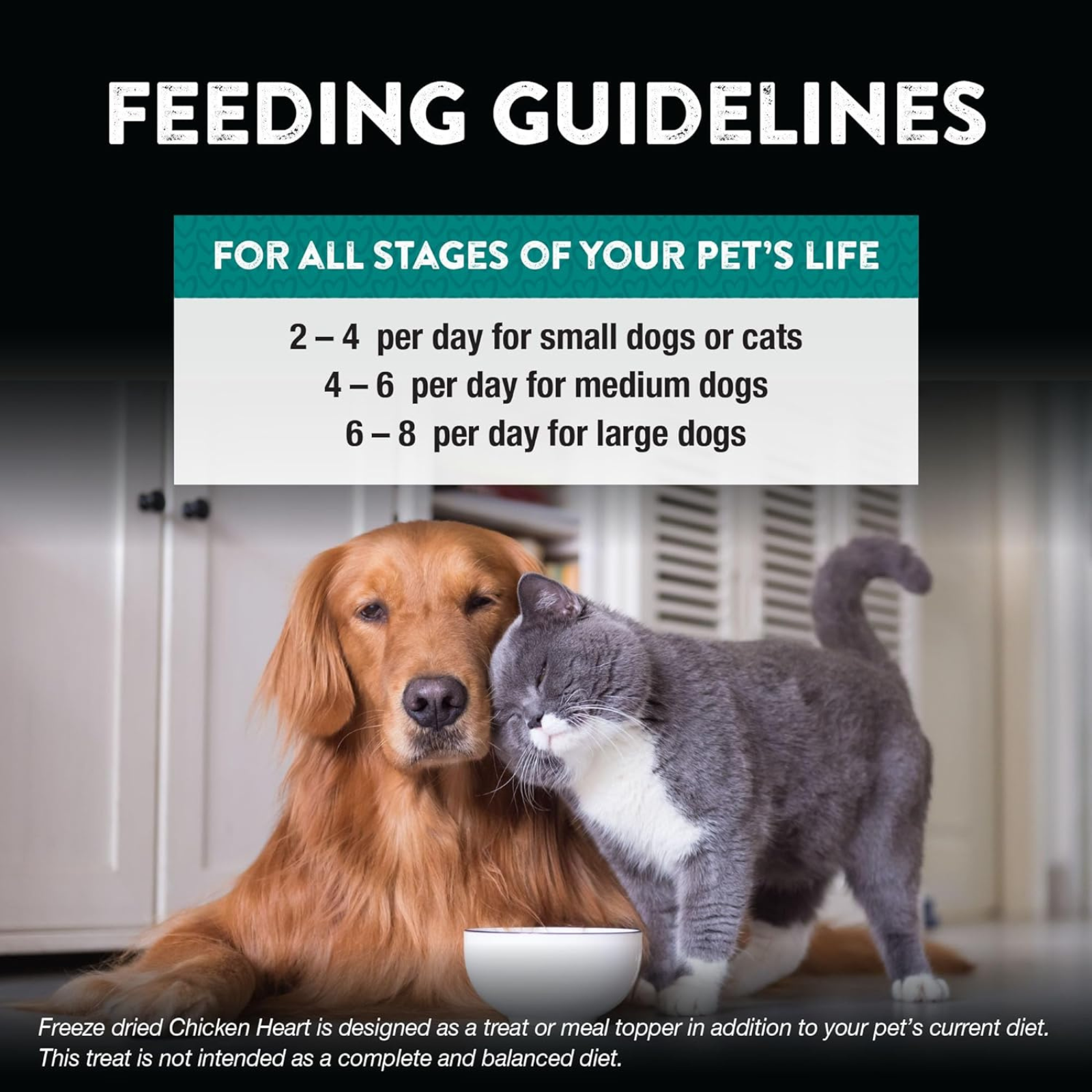 Feeding guidelines for pets with a dog and cat sitting next to a bowl.