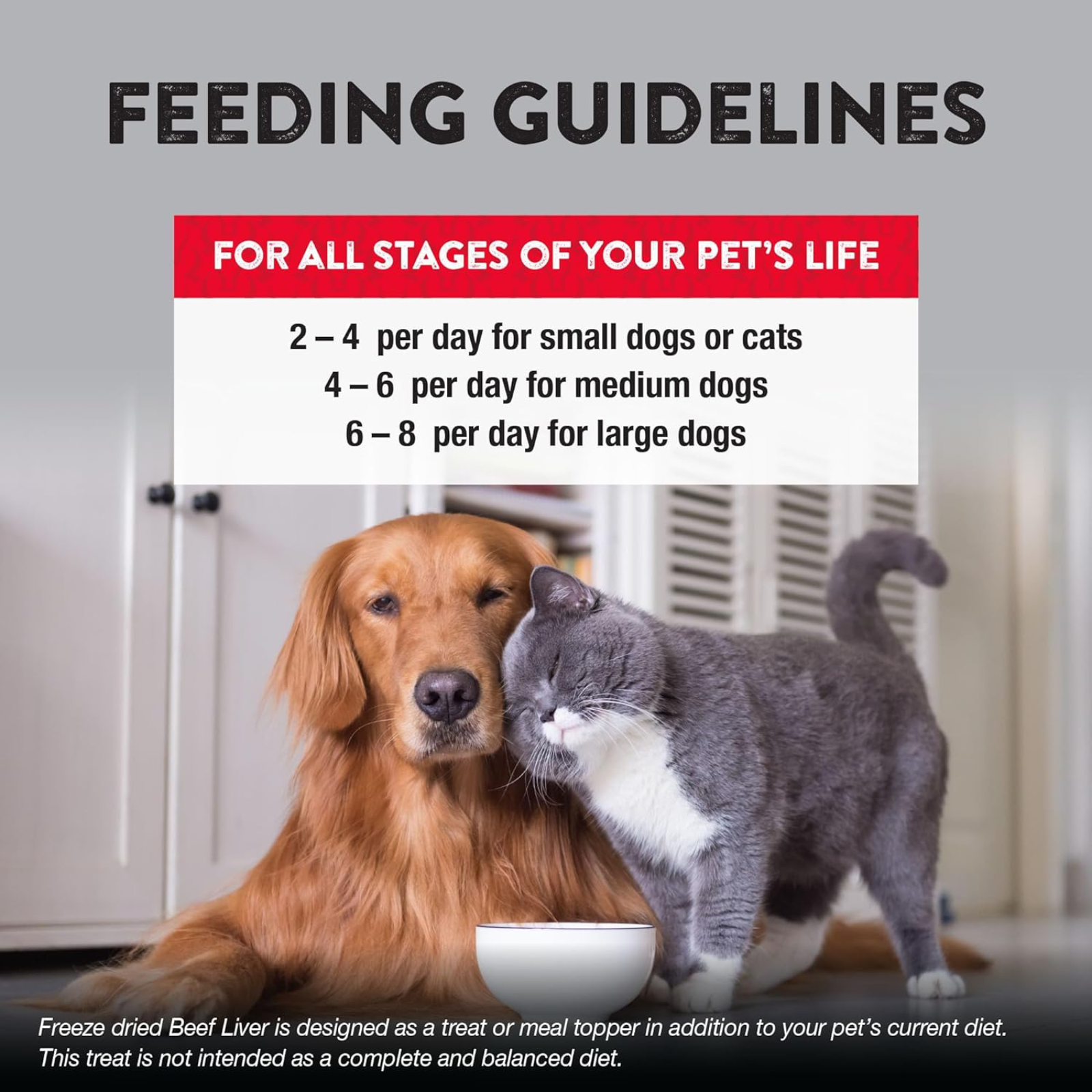Feeding guidelines for pets with a dog and cat sitting next to a bowl.