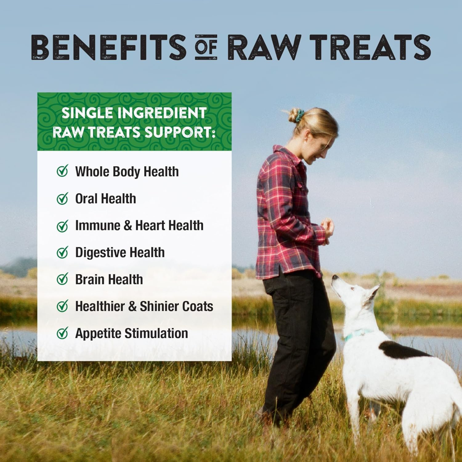 Person walking a dog with text about the benefits of raw treats on a blue background