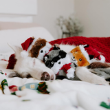 Dog lying on a bed with various plush toys, including a Santa hat and animal designs.