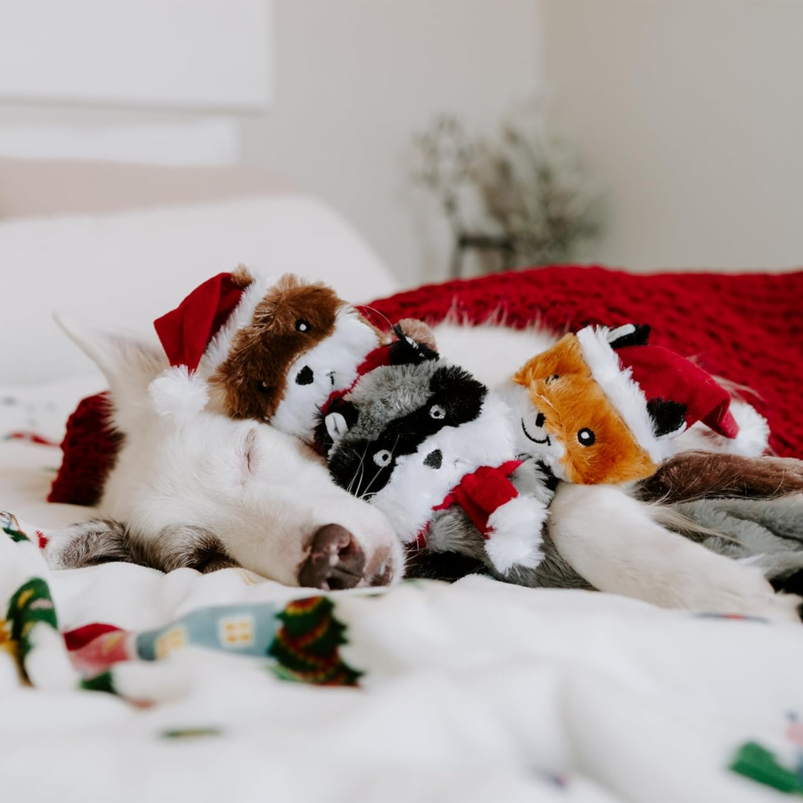 Dog lying on a bed with various plush toys, including a Santa hat and animal designs.