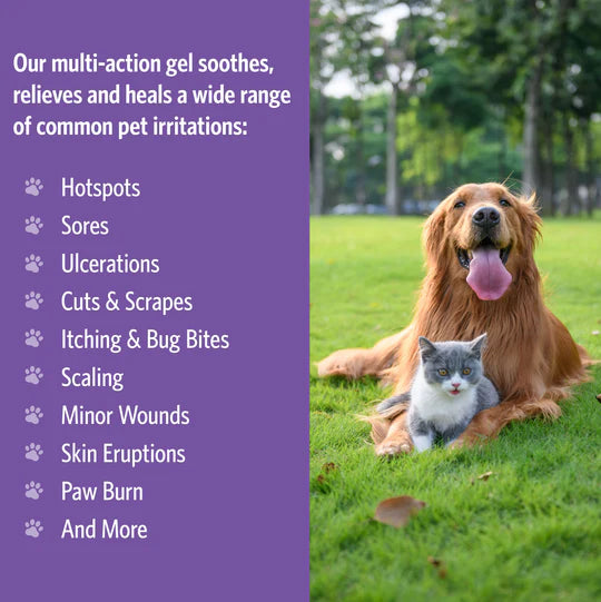Dog and cat lying on grass with product description on a purple background
