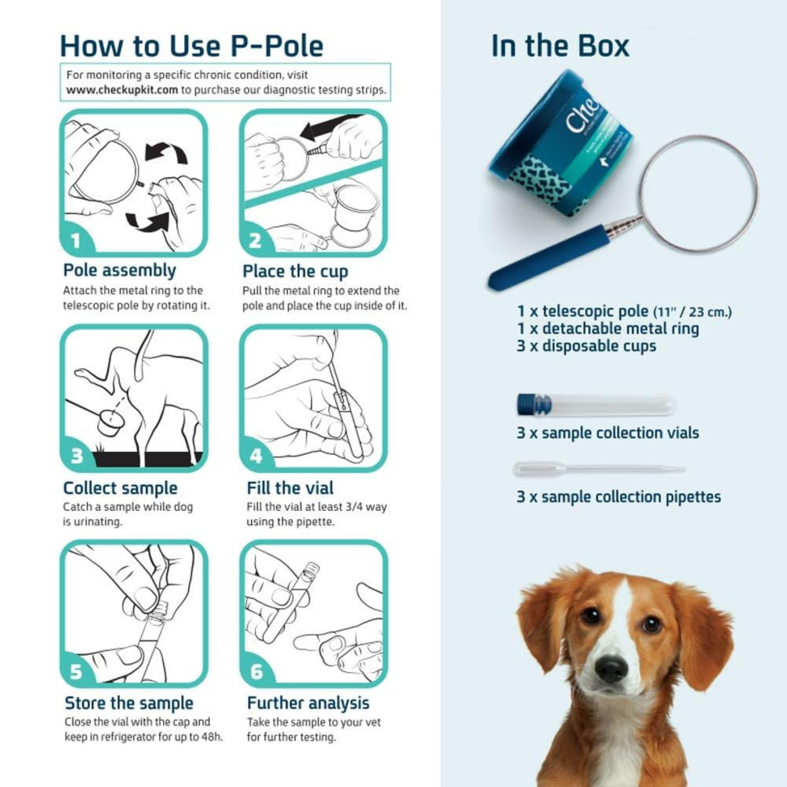 Instructions on how to use a P-Pole with a dog on the right side of the image.
