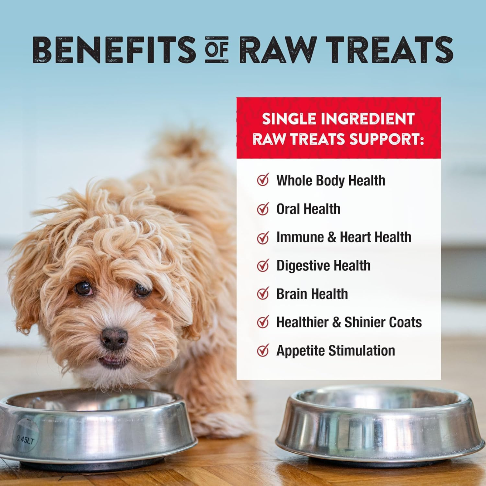 Dog with raw food benefits text overlay on a blue background