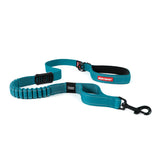 EzyDog Zero Shock Teal