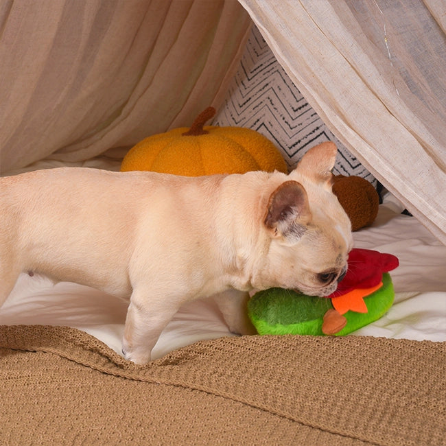Dog playing with a toy inside a cozy indoor setting