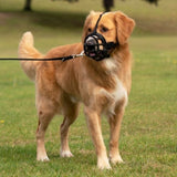 Baskerville Ultra Muzzle Black