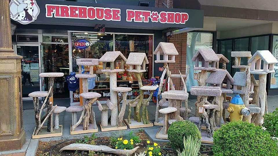 Firehouse Pet Shop