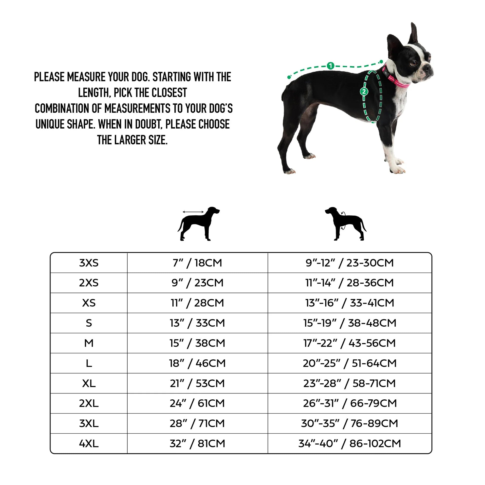 Dog size chart with measurements and a Boston Terrier illustration on a white background