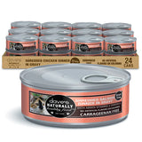 Dave's Cat GF Shredded Salmon Dinner in Gravy 5.5oz