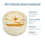 Pet House Mini Candle with ocean driftwood scent on a white background