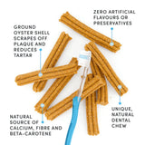 Crumps Plaque Busters with Pumpkin Spice 10pk