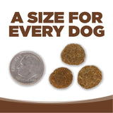 PureVita Chicken Brown Rice Dog