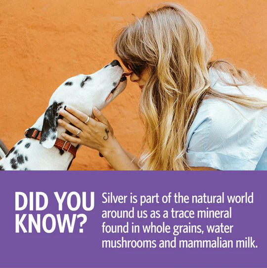 Woman petting a Dalmatian dog with an orange background and text about silver in the natural world.