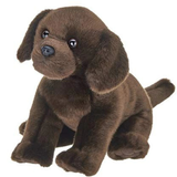 Labrador Brody 13in