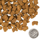 Fromm 4 Star K9 GF Lamb and Lentil