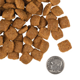 Fromm Gold K9 Adult