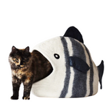 DDKC Fish Bed White