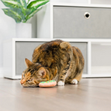 Kittybelles Lit Donut & Peppermint Candy 2pk