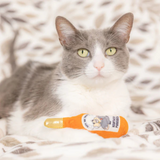 Kittybelles Kitty Van Tinkles