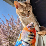 Kittybelles Angelfish Cat Toy