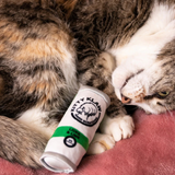 Kittybelles Kitty Klaw Lime