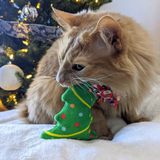 Kittybelles Up A Tree