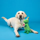 I'm How Old Birthday Dog Toy