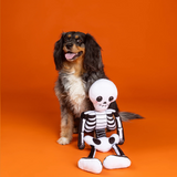 Fringe Bone To Be Wild Dog Toy