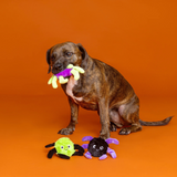 Fringe Webbed In Michief Mini Dog Toy 3pk