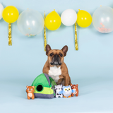 Fringe Happy Campers Hide Seek Plush Dog Toy