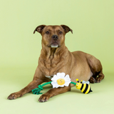 Fringe I'm Pollen For You 3pk Dog Toys