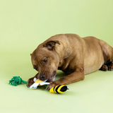 Fringe I'm Pollen For You 3pk Dog Toys