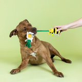 Fringe I'm Pollen For You 3pk Dog Toys
